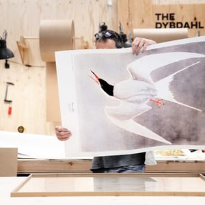 Placing print in frame.jpg01.jpg