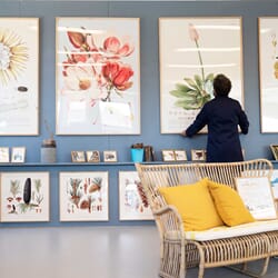 Studio blue wall 2.jpg01.jpg