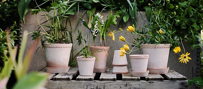 Utepotter og hageredskap