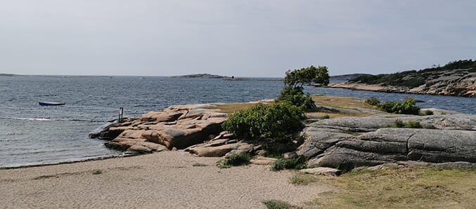 Strandliv