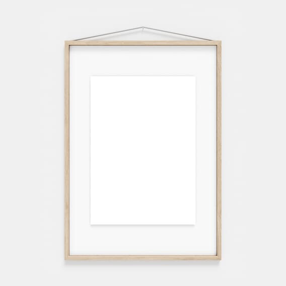 Faua2 MOEBE_Frame_PP_A2_Ash_High-Res.jpg