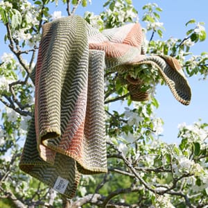 3453-11_Rel FRI Harvest 3453 M.jpg