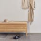 2135-111_Rel F&R_Entrance_A-Line-Storage-Bench_Echo_Coatrack.jpg