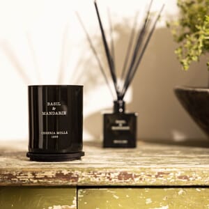 Basil and mandarin (1).jpg