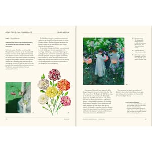 Boken The Secret Language of Plants, Art, Nature & Symbolism (5).jpg