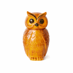 Ceramic owl jar tangerine (ACE7288) sa.png