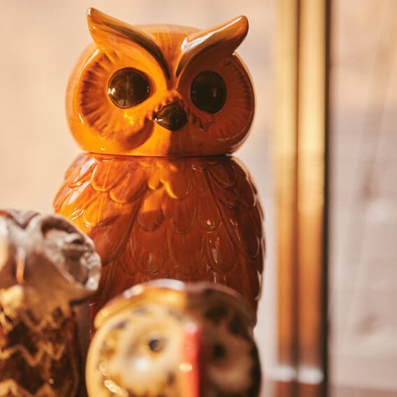 Ceramic owl jar tangerine (ACE7288)v.jpg