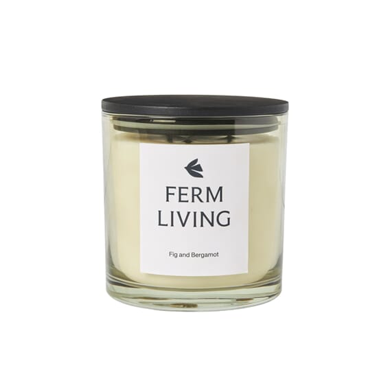 Duftlys Vitto Light Celedon H12 (1).jpg