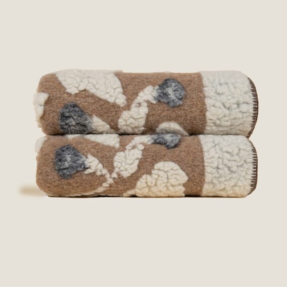 Frati Melodia (2).jpg