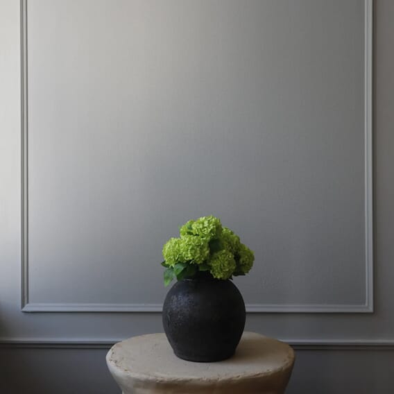 Mini snowball hydrangea.jpg