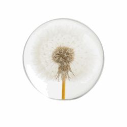 Papirvekt Løvetann 7 cm