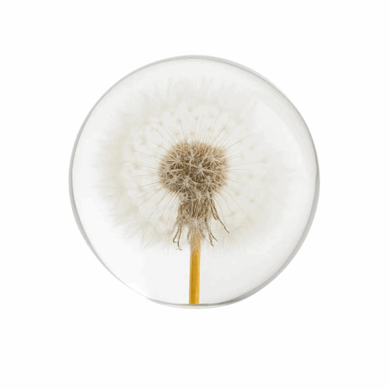 Papirvekt Løvetann 7cm.png