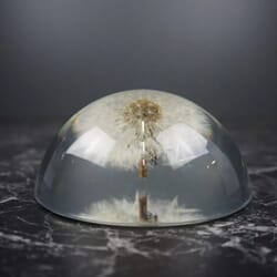 Papirvekt Løvetann Halv