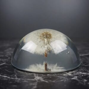 Papirvekt Løvetann Halv