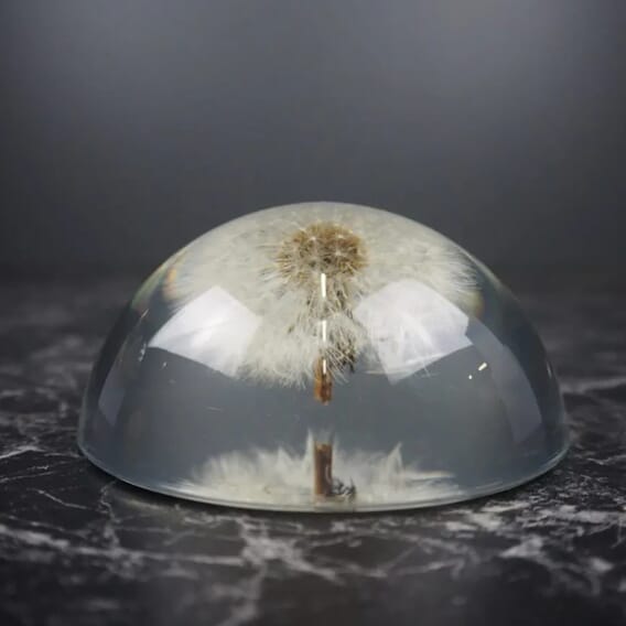 Papirvekt Løvetann Halv .jpg