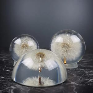 Papirvekt Løvetann Halv  (2).jpg