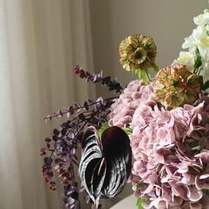 Perfectly plum (1).jpg