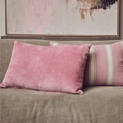 Pute Velvet Rose 60x40 (5).jpg