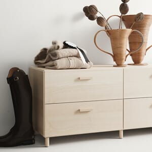 Relief ask lav (2).jpg