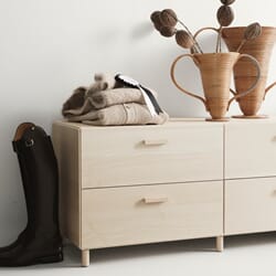 Relief ask lav (2).jpg