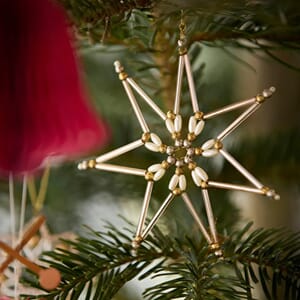 Juletrepynt Star 10,5cm Alara Silver