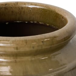 Vase Olive Tree (2).jpg