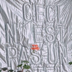 Veggkunst  'Ceci n'est pas un hôtel'  (2).jpg