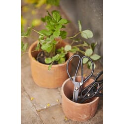 1514-00_Rel Trend077_1514-00_1517-00_1518-00_1519-00_trend001.jpg