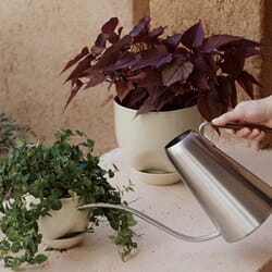 4833659_Rel MENU_LS_Hydrous_Watering_Can_Hydrous_Planter.jpg