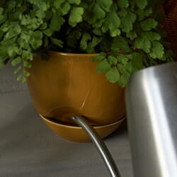 4833859_Rel MENU_Hydrous_Planter_Hydrous_Watering_Can_5.jpg
