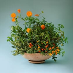 BB11_Rel BERGS-POTTER_ADA_RAW_RARO_IMG_5146_hz_JK.jpg