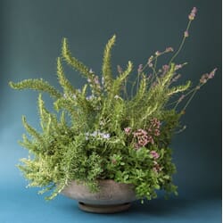 BB12_Rel BERGS-POTTER_ADA_RAW_NOGR_IMG_5463_JK.jpg