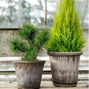 BB16_Rel bergs-potter-kbenhavn-potte-gra-14cm-1.jpg