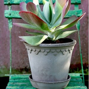 BB19_Rel bergs-potter-kbenhavn-potte-gra-3.jpg