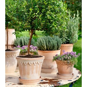 BB20_Rel bergs-potter-kbenhavn-potte-rosa-1.jpg