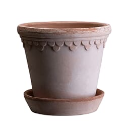 Københavner Krukke Rose 25x22