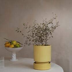 Hoff Potte Yellow/Yellow 14x17