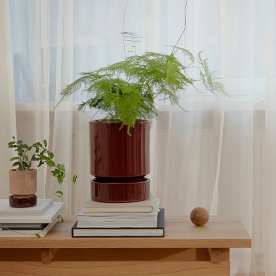 BERGS POTTER_Hoff_raw_glazed_raro_debu_0115_SS.jpg