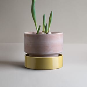 Hoff Potte Rose/Yellow 30x25