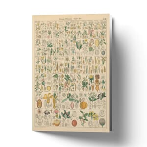 Kort Flora Chart I (A6)