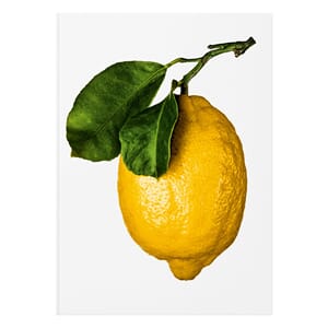 The Gourmand's Lemon. A Collection of Stories and Recipes