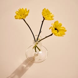 Tiny Vase clear 02.jpg