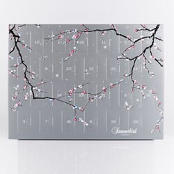 Julekalender Summerbird