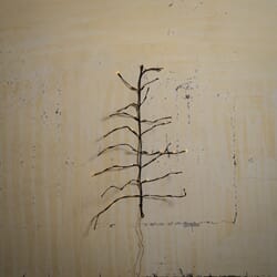 Utendørsbelysning Tre H:100