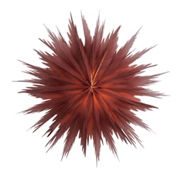 Liz Julestjerne Red Ochre Ø:50