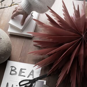 P1225095 Liz 50 Red Ochre_set_101.jpg