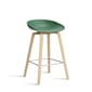 AA002-D138-AA51_AAS_32_H65_teal_green_2.0_shell_soaped_oak_base_stainless_steel_footrest.jpg