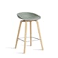 AA002-D144-AA51_AAS_32_H65_fall_green_2.0_shell_soaped_oak_base_stainless_steel_footrest.jpg