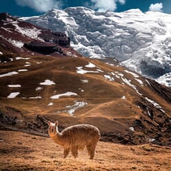 40003 - Blue - Extra 3_1.jpg