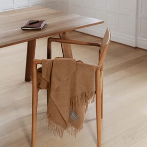 70001 - Camel - Extra 3_1.jpg